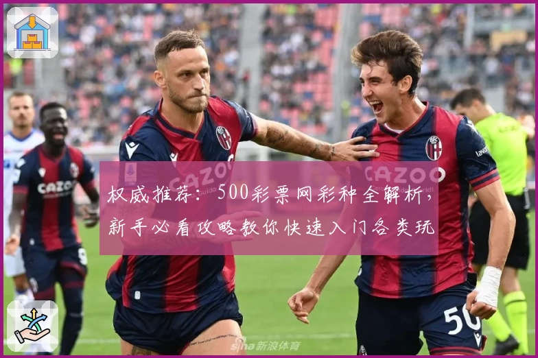 权威推荐:500彩票网彩种全解析,新手必看攻略教你快速入门各类玩法