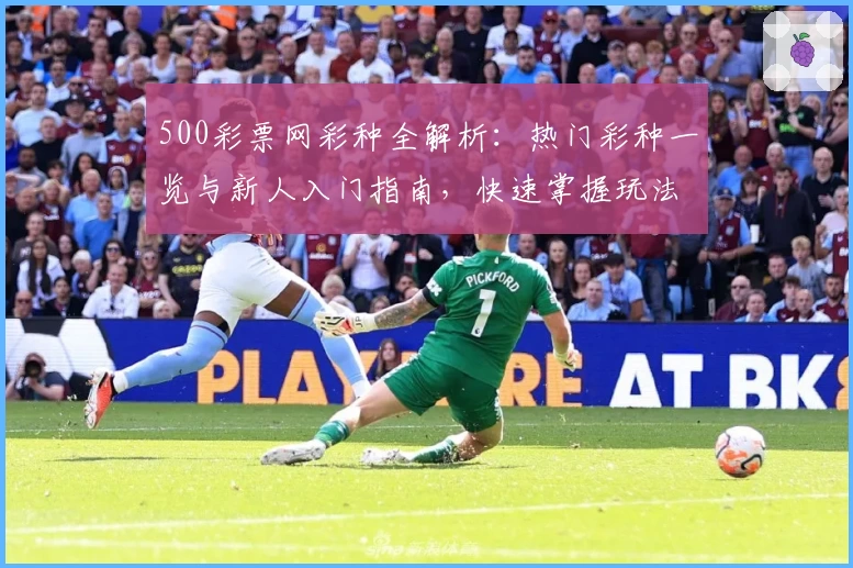 500彩票网彩种全解析:热门彩种一览与新人入门指南,快速掌握玩法技巧