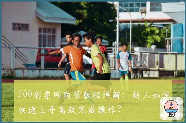 500彩票网购买教程详解：新人如何快速上手高效完成操作？