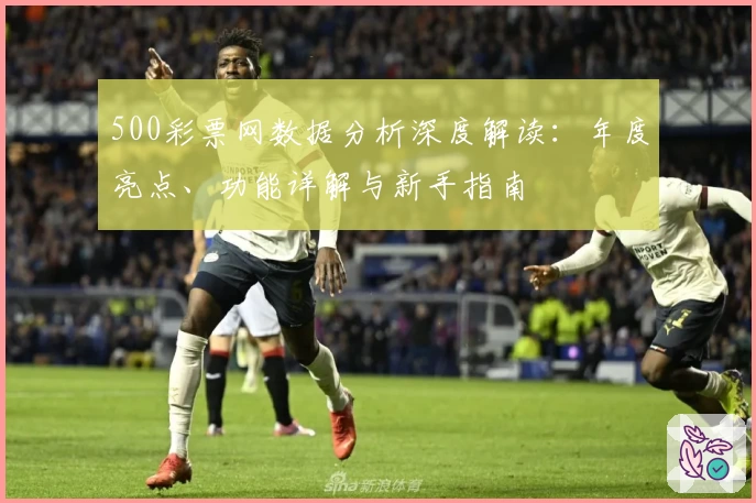 500彩票网数据分析深度解读:年度亮点、功能详解与新手指南