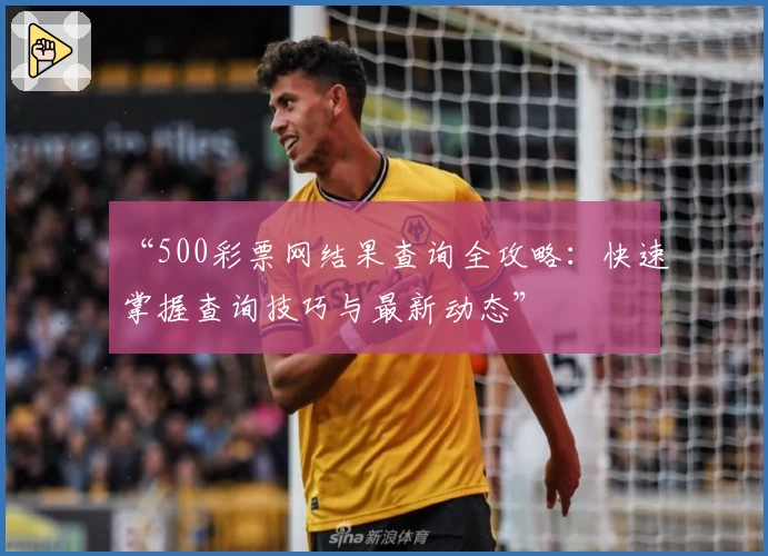 “500彩票网结果查询全攻略:快速掌握查询技巧与最新动态”
