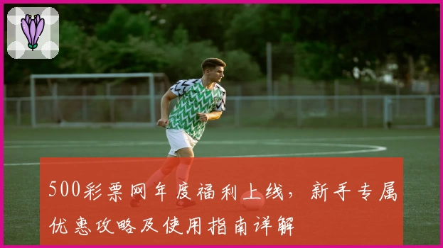 500彩票网年度福利上线,新手专属优惠攻略及使用指南详解