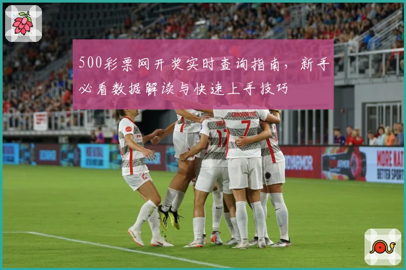 500彩票网开奖实时查询指南，新手必看数据解读与快速上手技巧