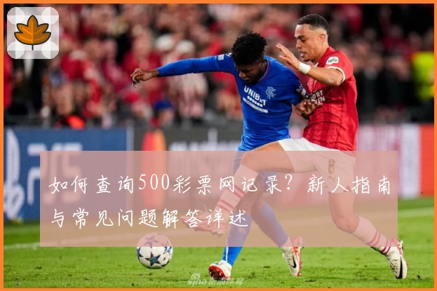 如何查询500彩票网记录？新人指南与常见问题解答详述